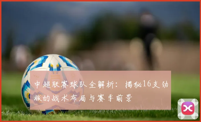 中超联赛球队全解析：揭秘16支劲旅的战术布局与赛季前景